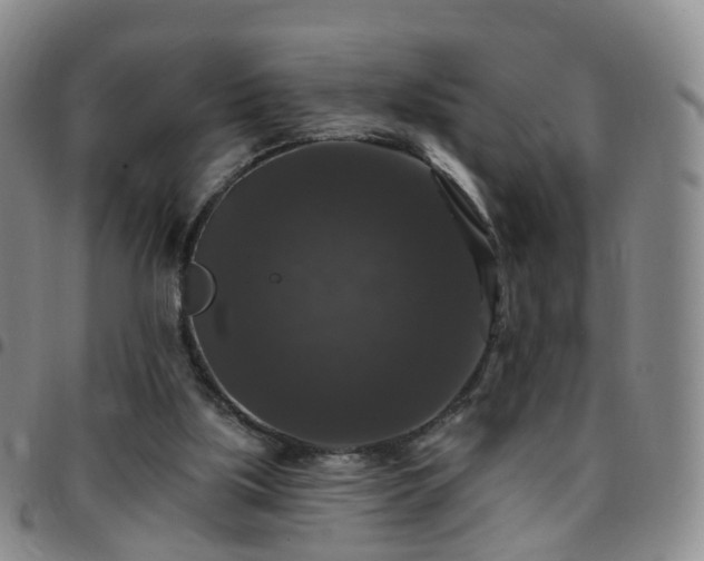 X0000097790059200803141838