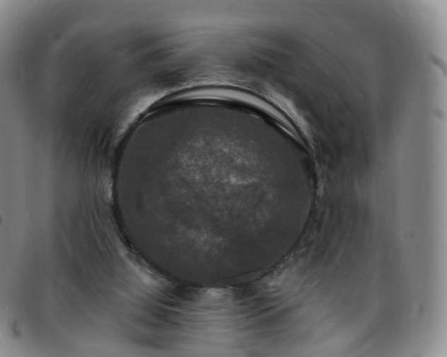 X0000097790060200803141838