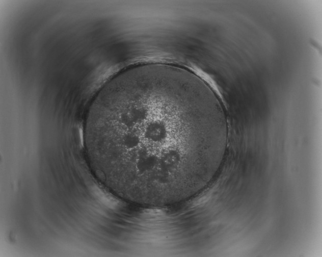 X0000097790061200803141838