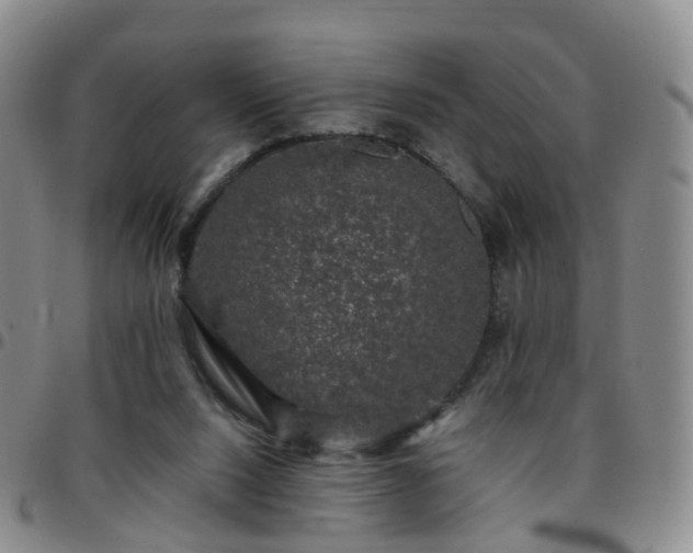X0000097790064200803141838