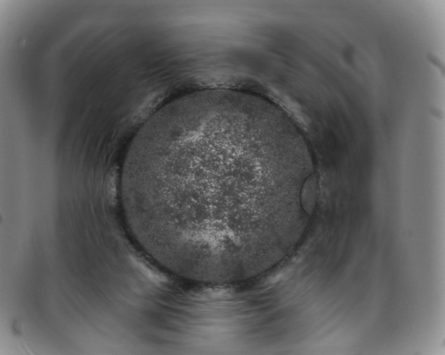 X0000097790065200803141838