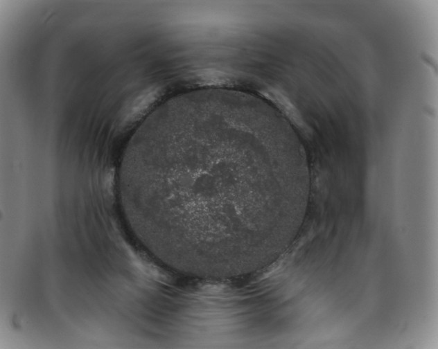 X0000097790066200803141838