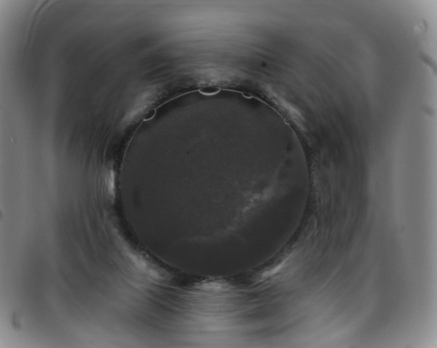 X0000097790067200803141838