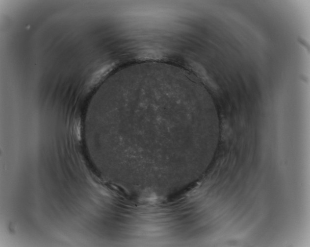 X0000097790068200803141838