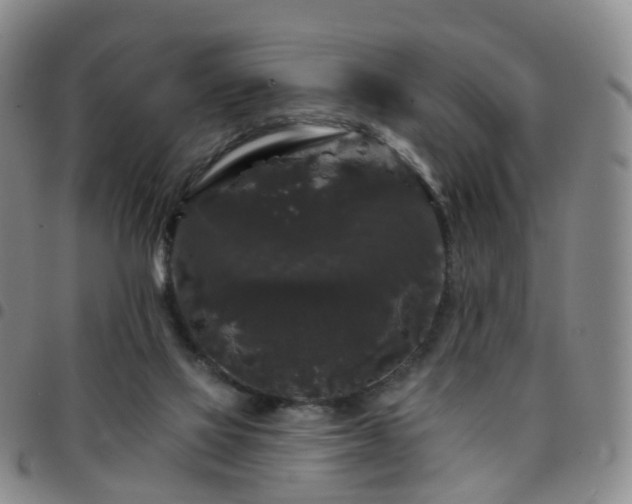 X0000097790069200803141838