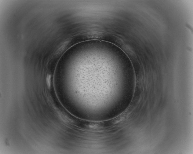 X0000097790070200803141838