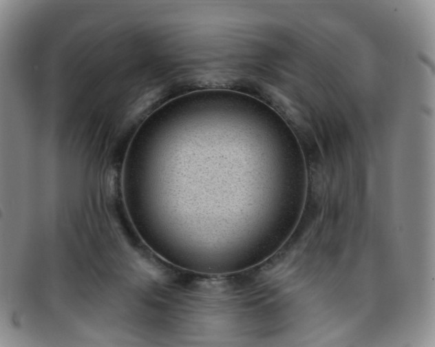 X0000097790071200803141838