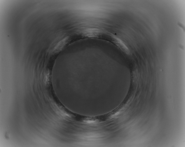 X0000097790073200803141838