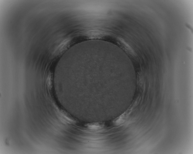 X0000097790074200803141838
