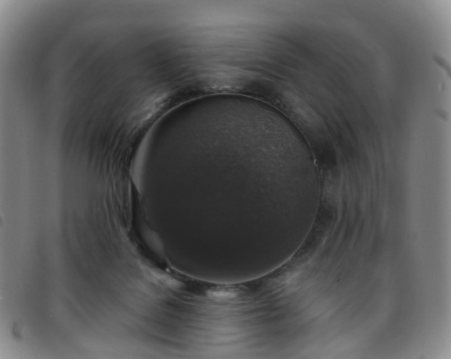 X0000097790076200803141838