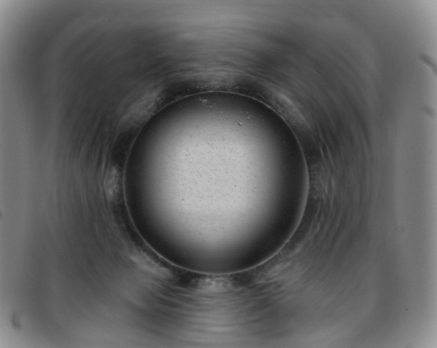 X0000097790077200803141838