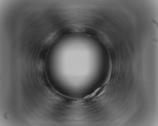 X0000097790078200803141839