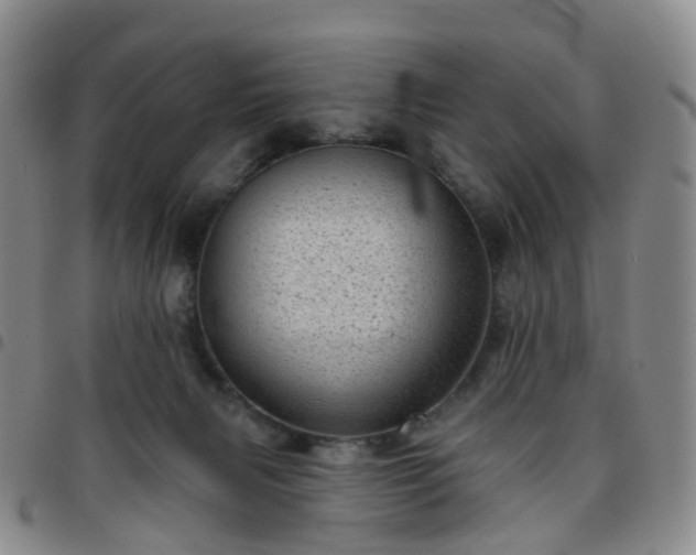 X0000097790079200803141839