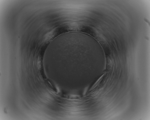 X0000097790080200803141839