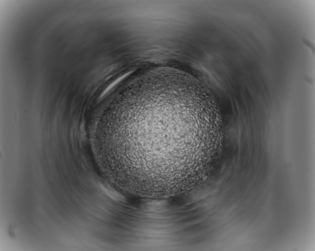 X0000097790081200803141839
