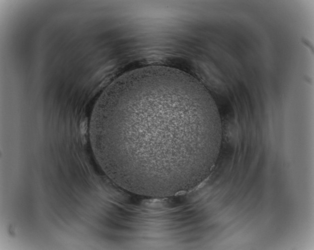 X0000097790082200803141839