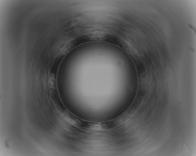 X0000097790083200803141839