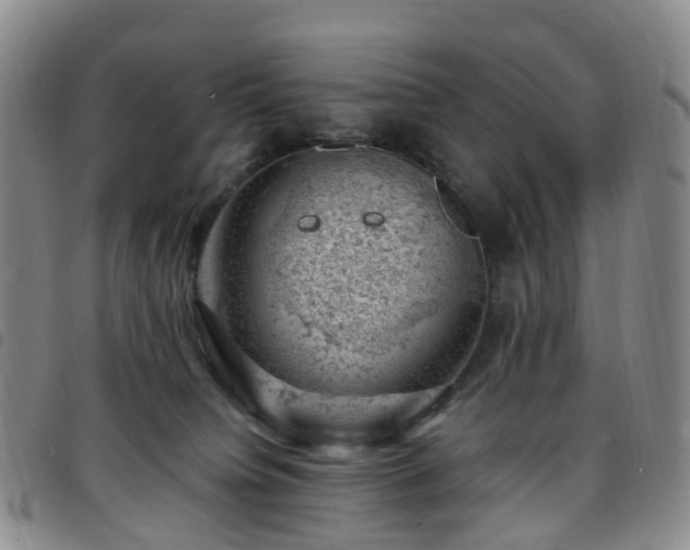 X0000097790084200803141839