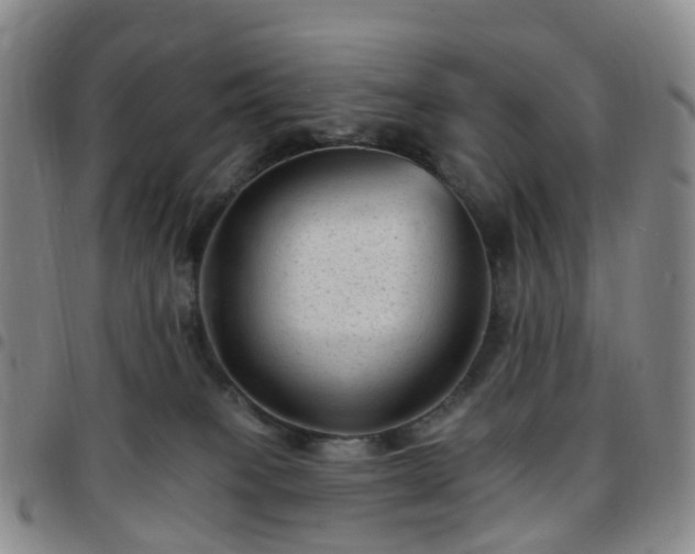 X0000097790085200803141839