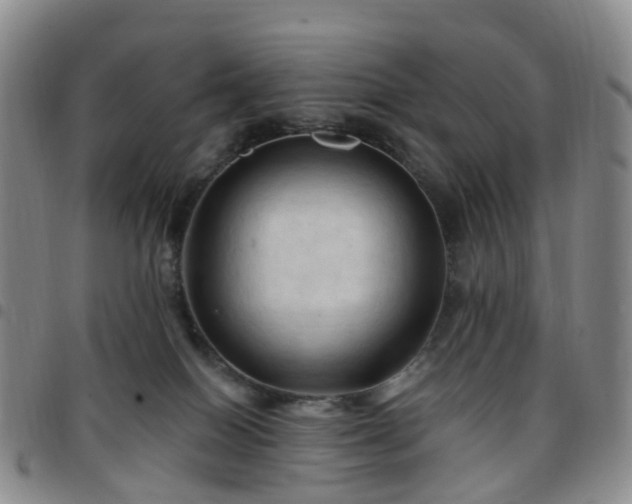X0000097790086200803141839