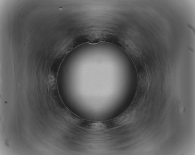 X0000097790087200803141839