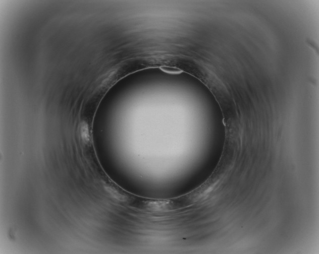 X0000097790089200803141839