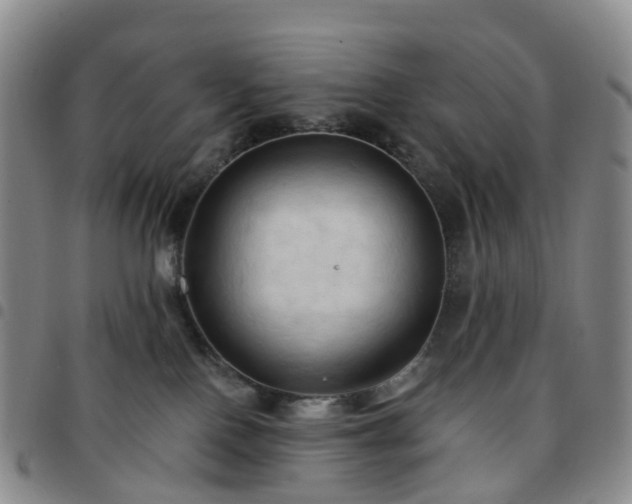X0000097790090200803141839