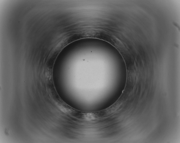 X0000097790091200803141839