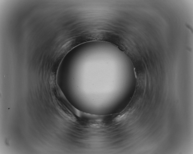 X0000097790092200803141839