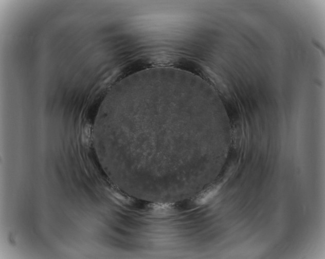 X0000097790093200803141839