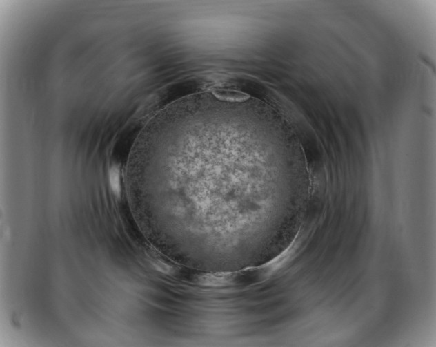 X0000097790094200803141839