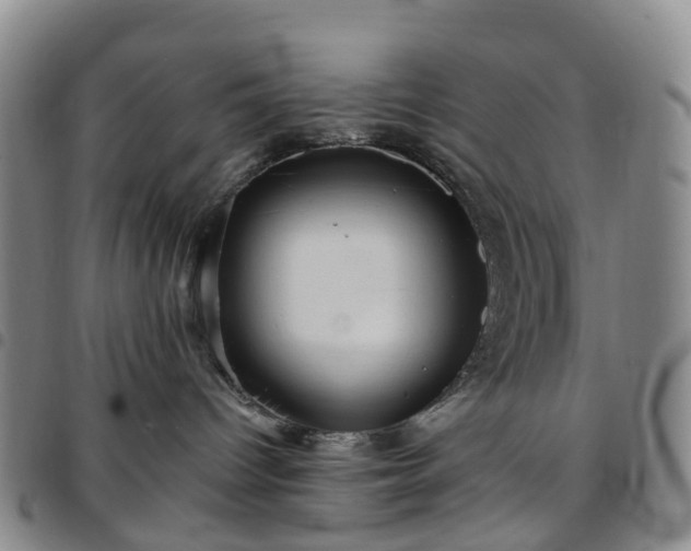 X0000097790096200803141839