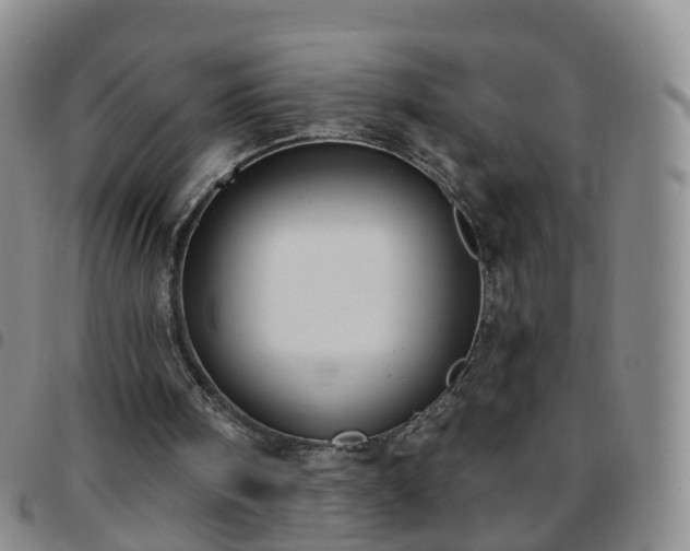 X0000097790098200803141838