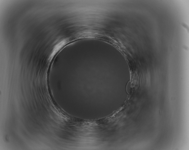 X0000097790099200803141838