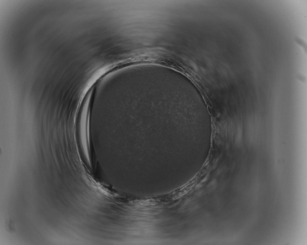X0000097790100200803141838