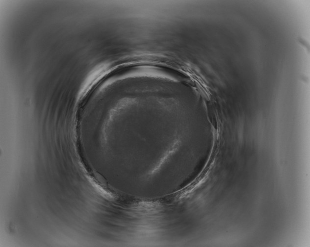X0000097790101200803141838