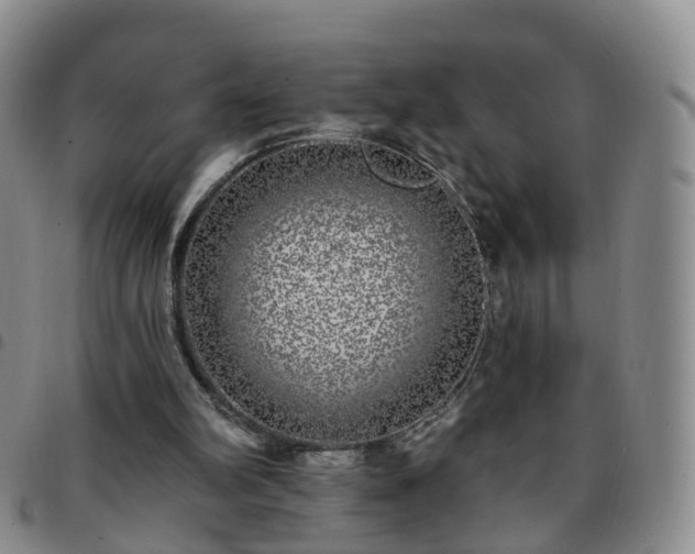 X0000097790102200803141838