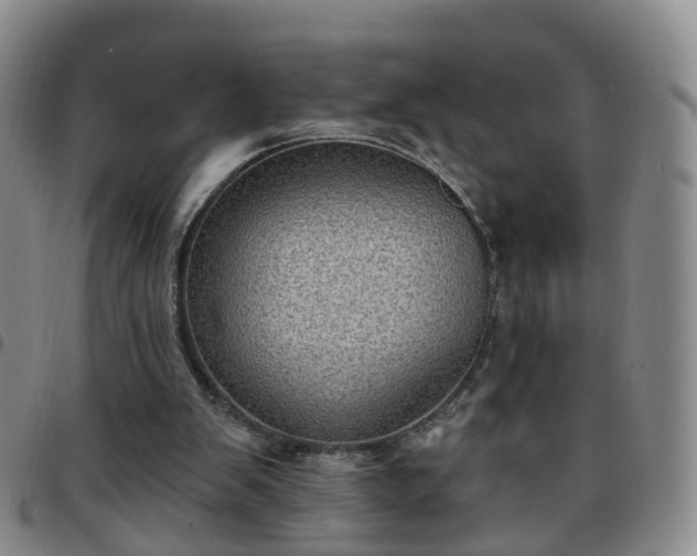 X0000097790103200803141838