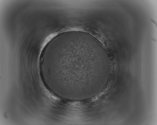 X0000097790104200803141838
