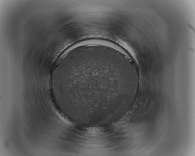 X0000097790105200803141838