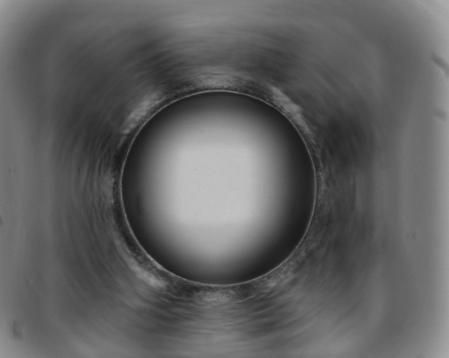 X0000097790106200803141838