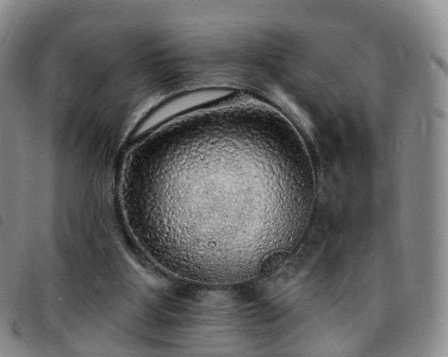 X0000097790107200803141838