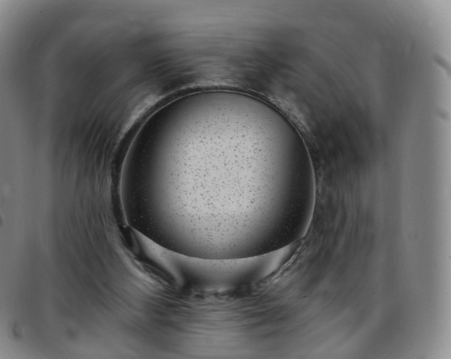 X0000097790108200803141838