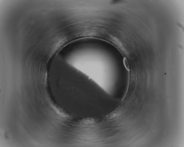 X0000097790110200803141838