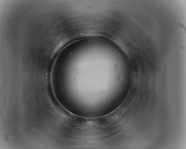 X0000097790111200803141838
