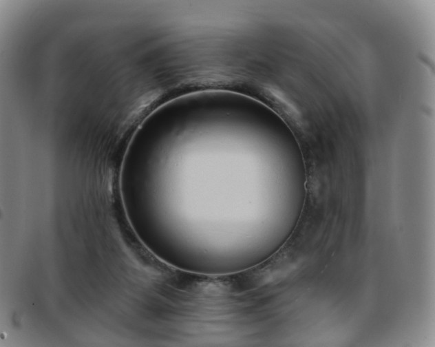 X0000097790115200803141838