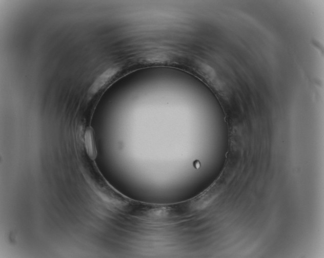 X0000097790116200803141838