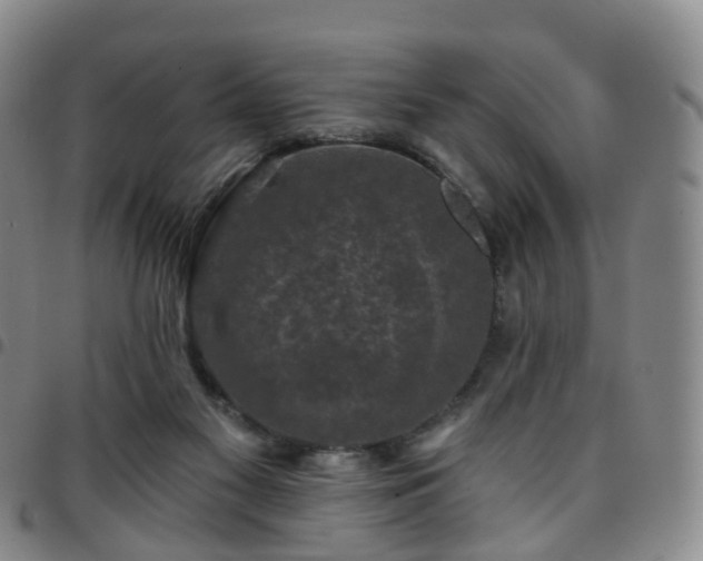 X0000097790117200803141838