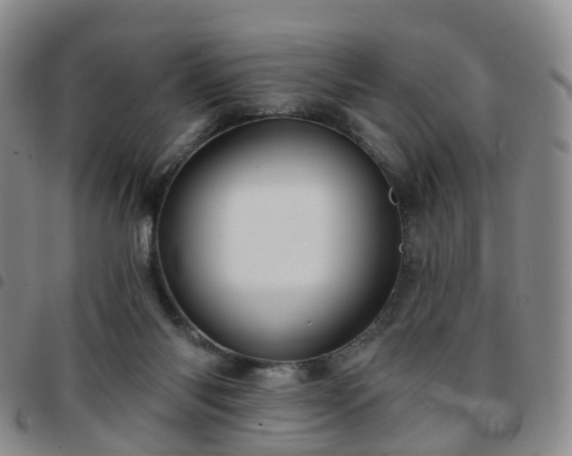 X0000097790118200803141838