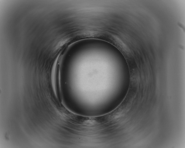 X0000097790119200803141838